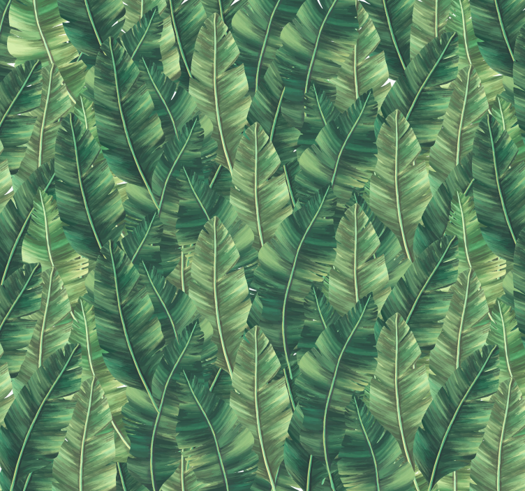 Velké listy Příroda fototapeta - TenStickers