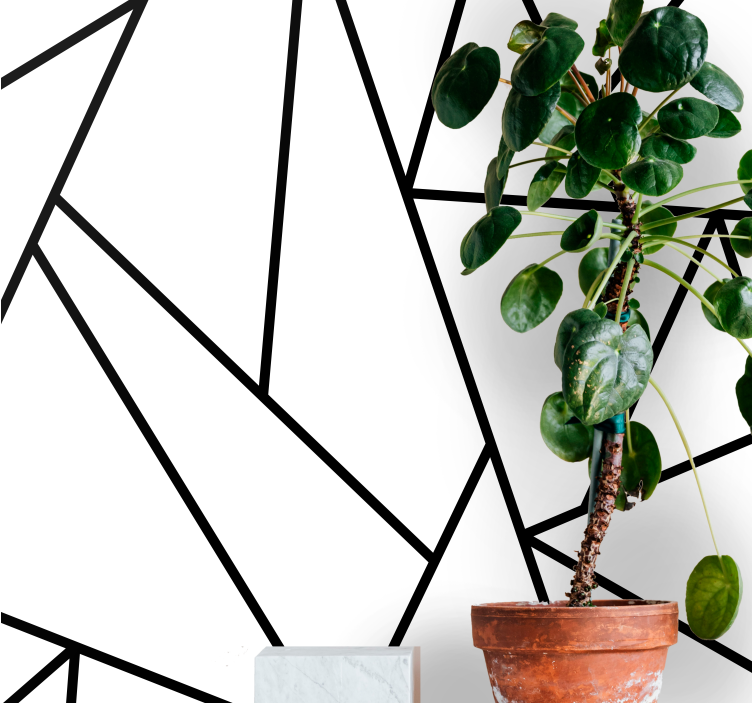 Abstraktní fototapeta geometrické černé linie - TenStickers