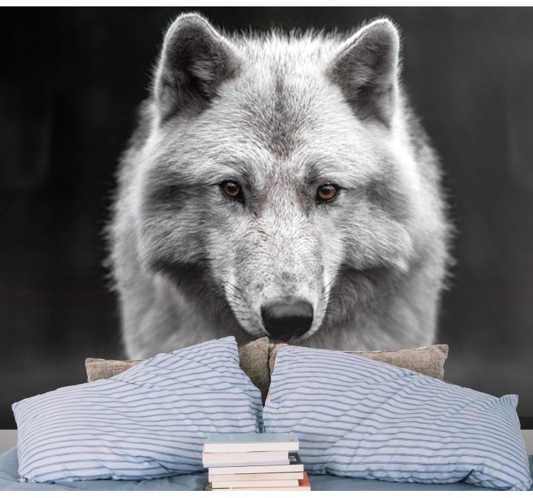 Fototapeta bílý vlk - TenStickers