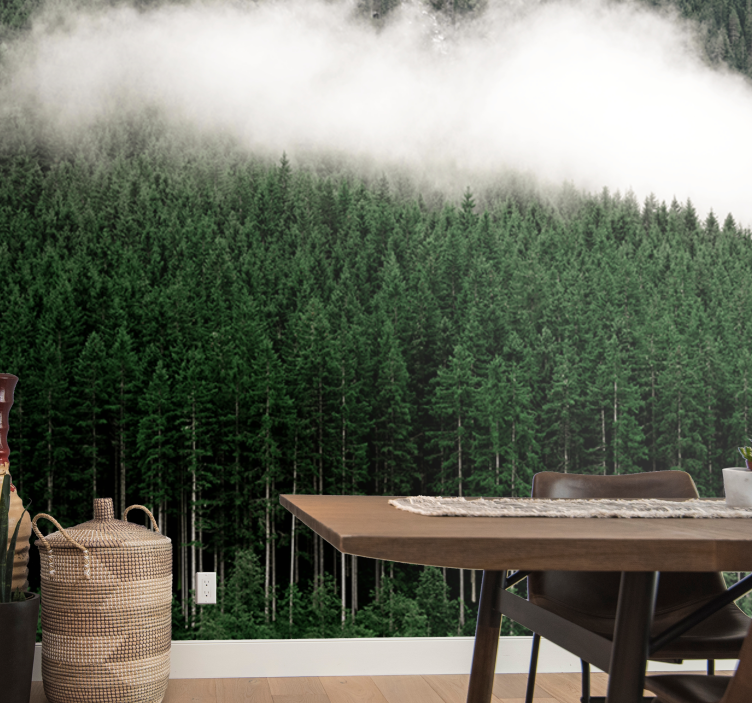 Borovice letecký pohled příroda fototapeta - TenStickers