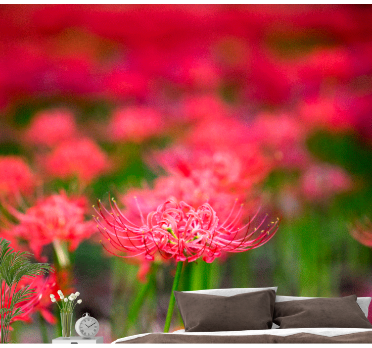 Fototapeta červené květy pavouka - TenStickers