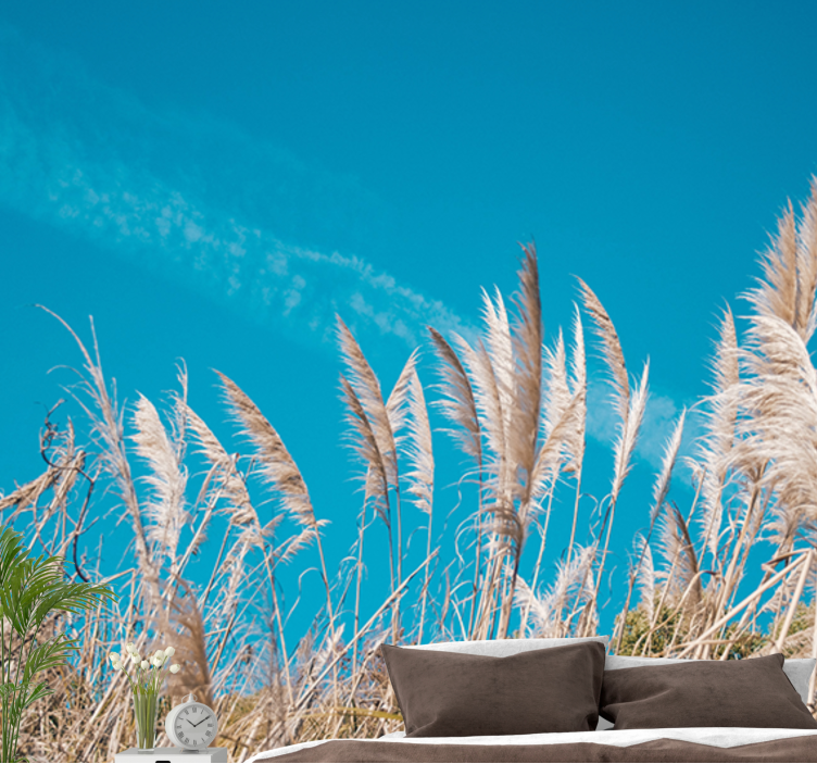 Fototapeta květiny pampas tráva klid - TenStickers