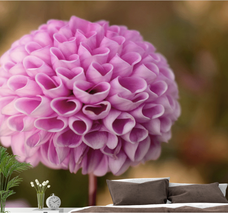 Fototapeta květiny růžová květinová koule - TenStickers