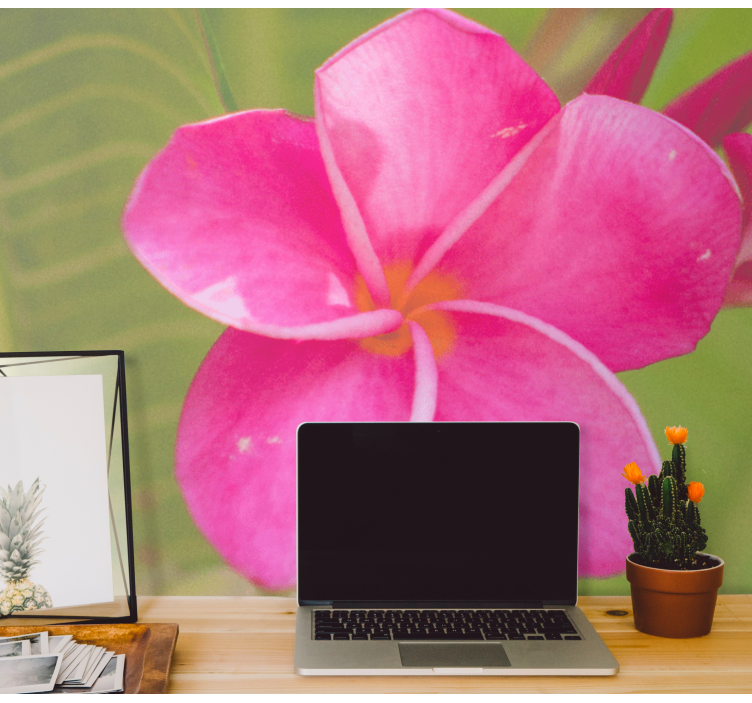 Fototapeta květiny růžový květinový akcent - TenStickers