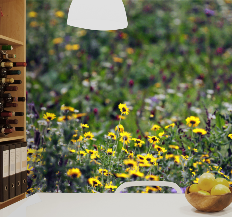 Fototapeta květiny slunečné louky v květu - TenStickers