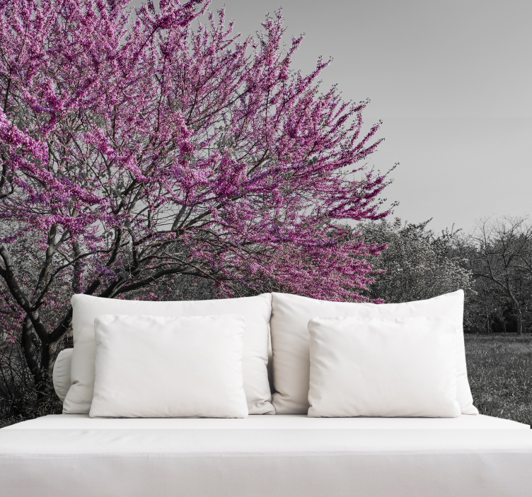 Fototapeta květiny třešňový květ - TenStickers