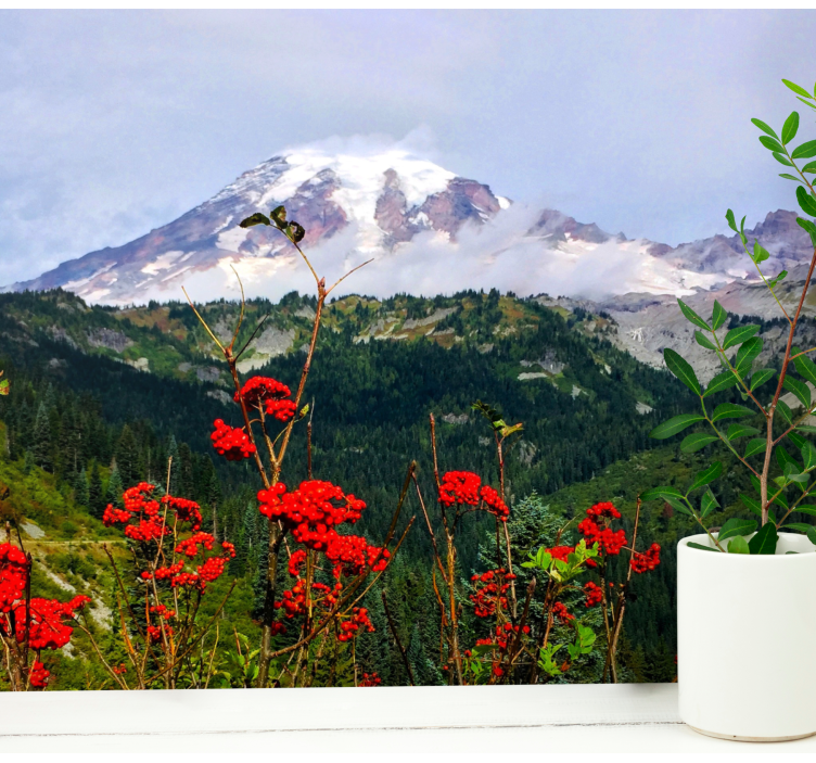 Fototapeta sněhem pokryté hory - TenStickers