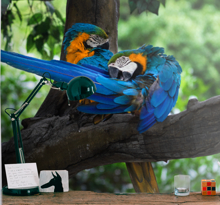 Fototapeta zvířata barevná dvojice arů - TenStickers