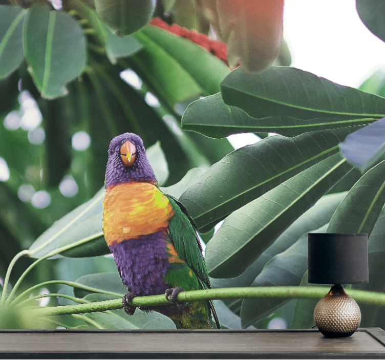 Fototapeta zvířata barevný papoušek na větvi - TenStickers