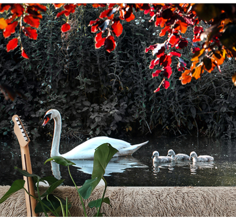 Fototapeta zvířata elegantní rodina labutí - TenStickers