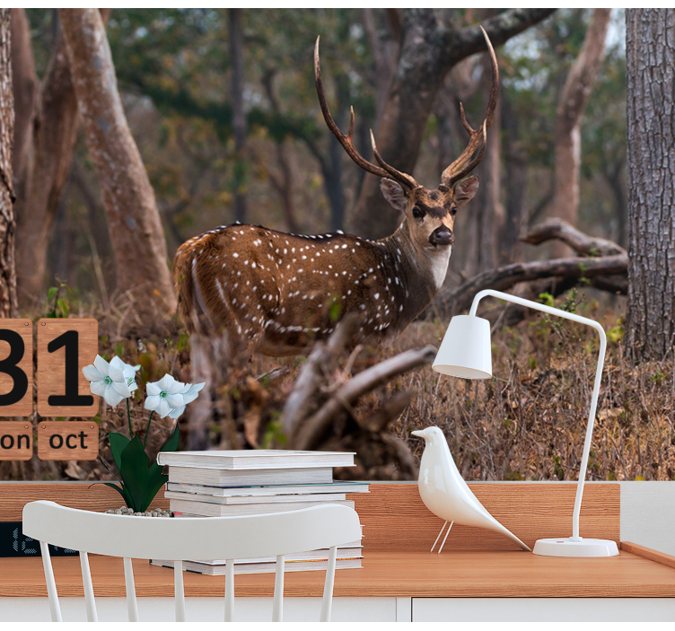 Fototapeta zvířata elegantní skvrnitý jelen - TenStickers