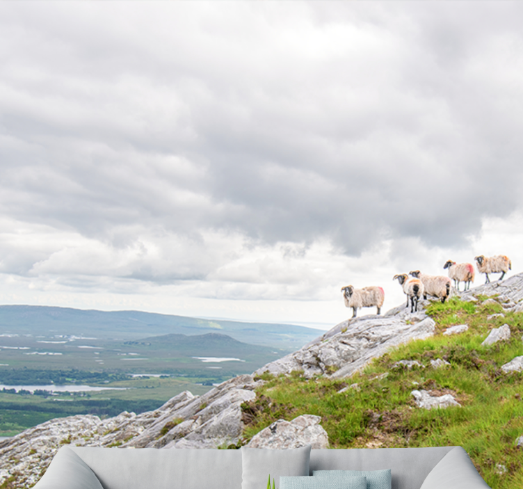 Fototapeta zvířata jehněta na svazích - TenStickers