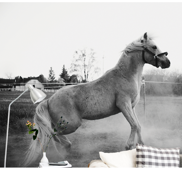 Fototapeta zvířata klusající poník - TenStickers