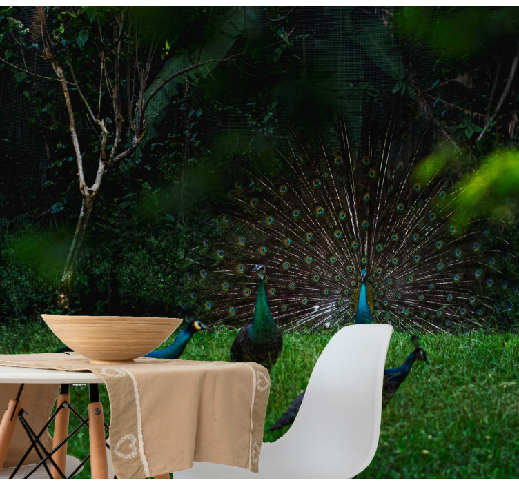 Fototapeta zvířata páv s roztaženými pery - TenStickers