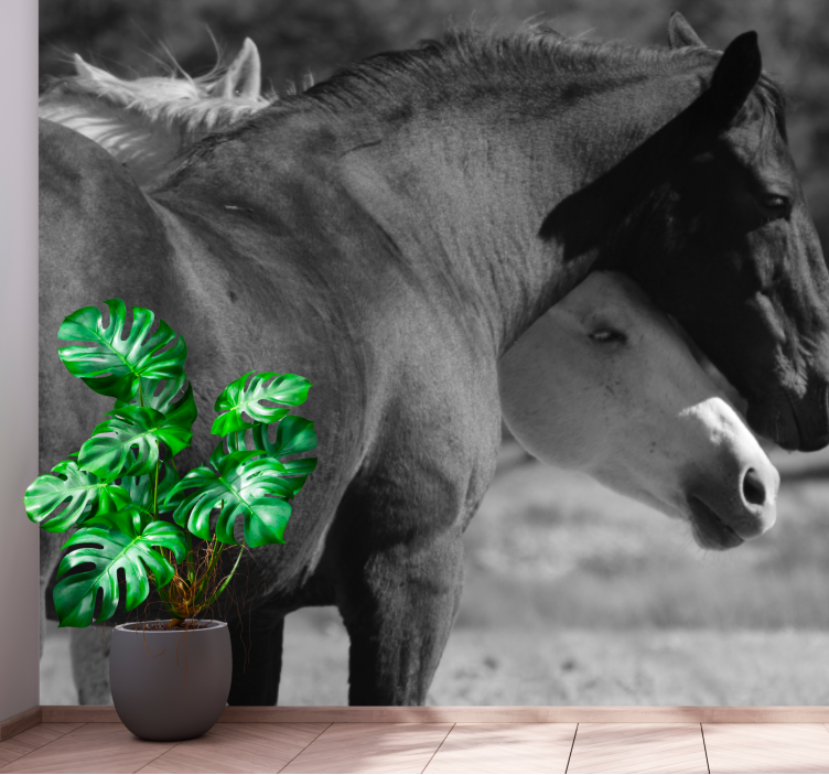 Fototapeta zvířata společnost koní - TenStickers