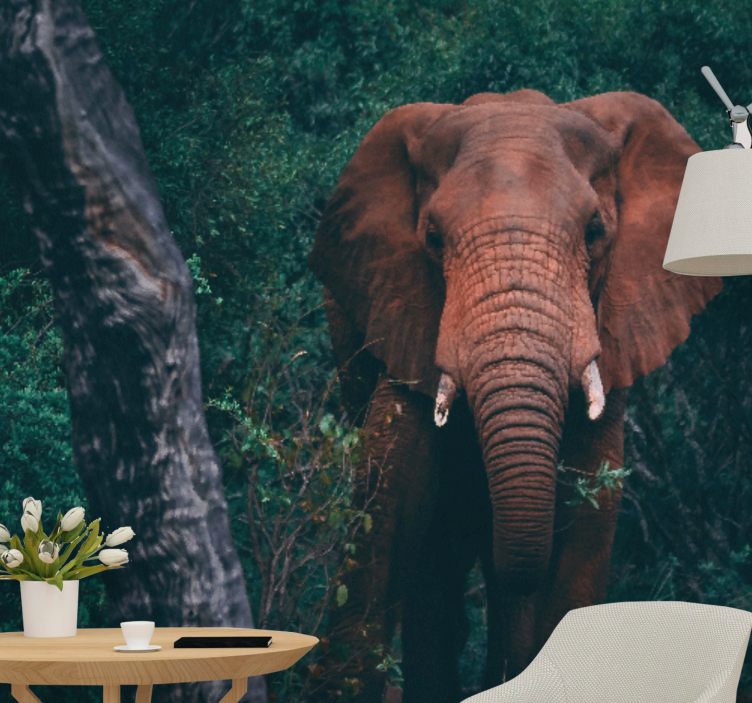 Fototapeta zvířata velkolepá přítomnost slona - TenStickers