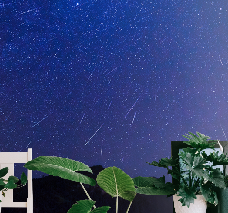 Horská fototapeta noc nebeských komet - TenStickers