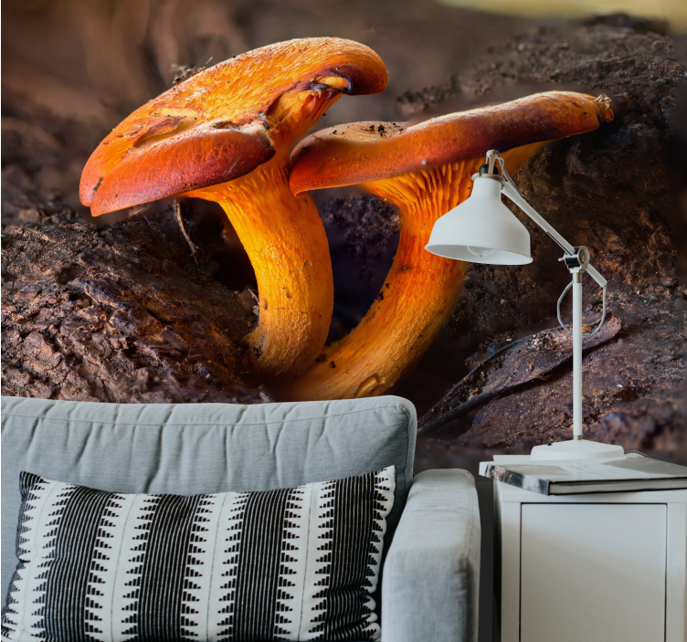 Fototapeta houba ve stromové přírodě - TenStickers