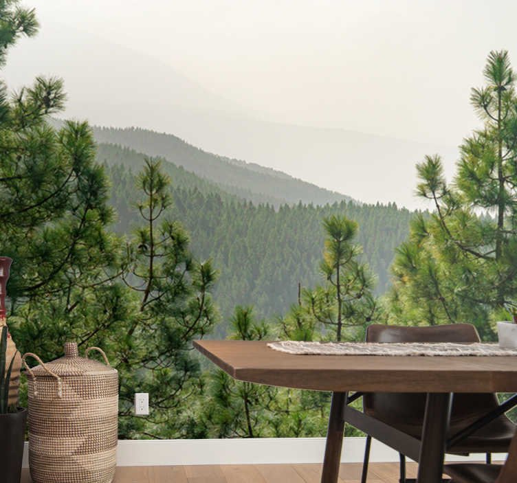 Koruny stromů shora lesní fototapeta - TenStickers