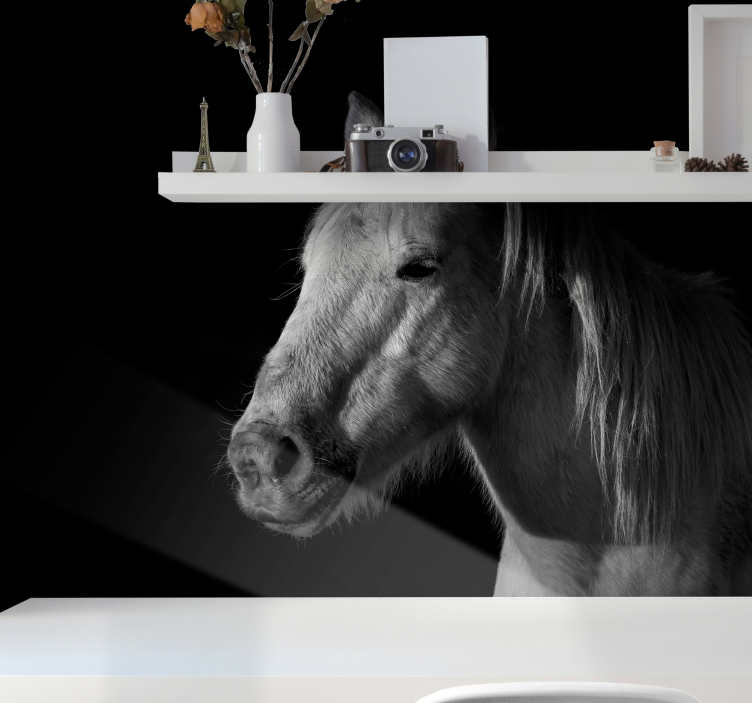 Fototapeta kůň z prázdnoty - TenStickers