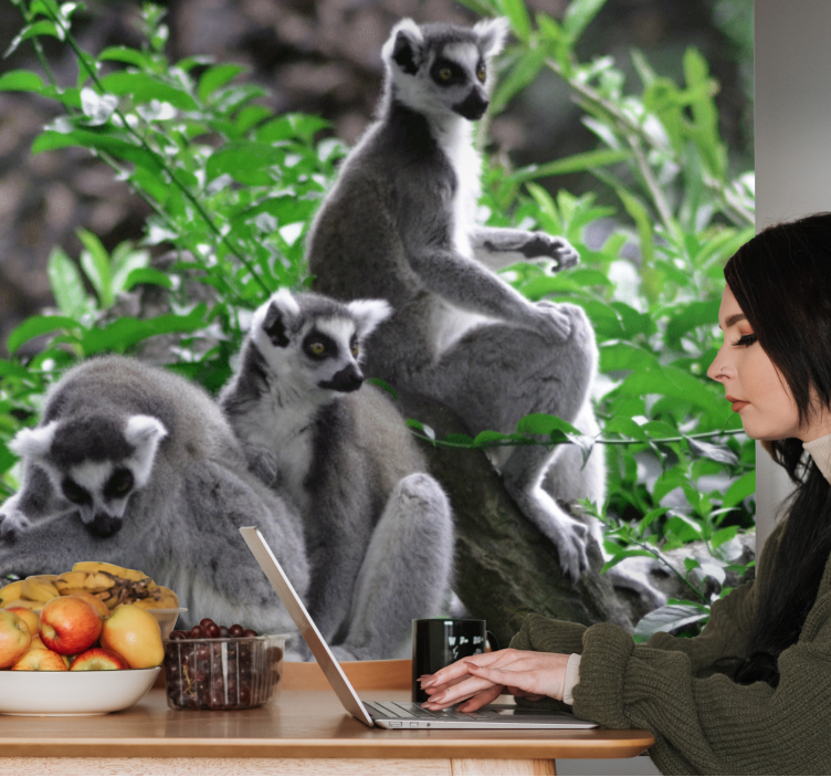 Obraz na plátně lemur divoká zvěř madagaskar afrika - TenStickers