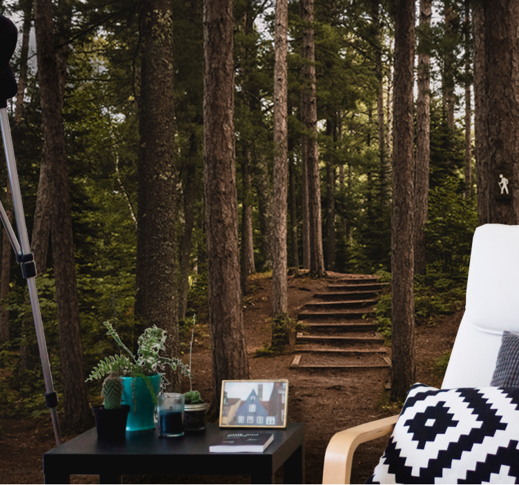 Lesní fototapeta klid lesní cesty - TenStickers