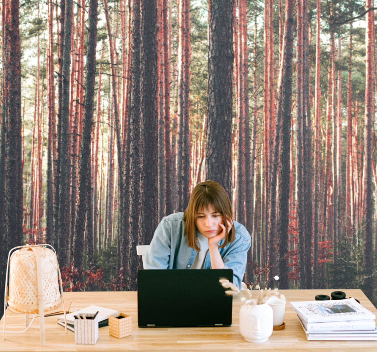 Lesní fototapeta klidné borové lesy - TenStickers