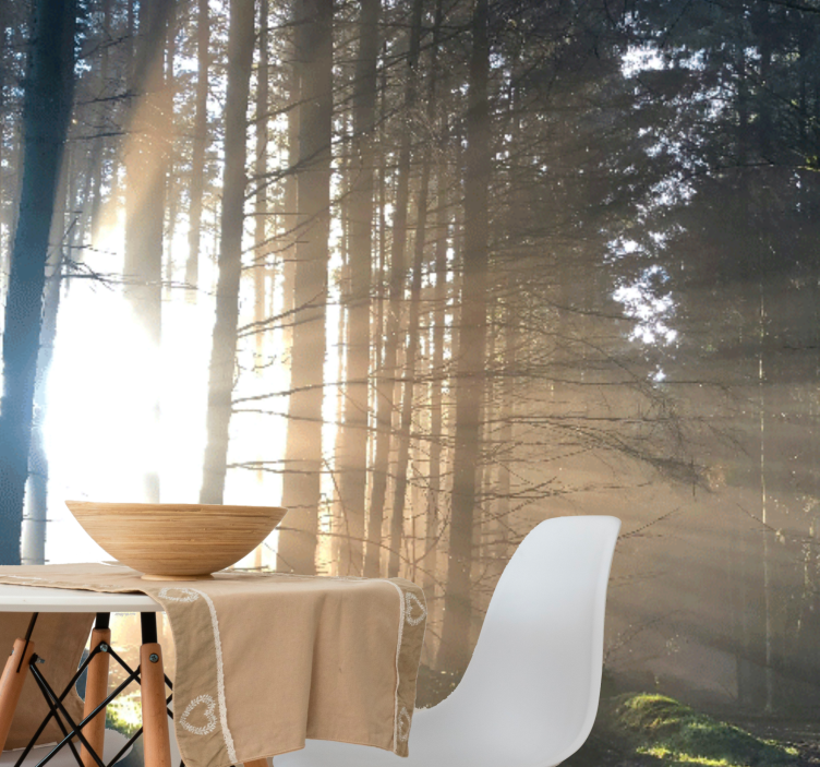 Lesní fototapeta osvětlená lesní stezka - TenStickers