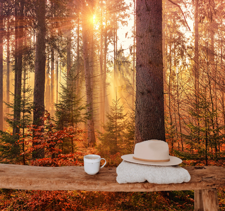 Lesní fototapeta sluneční lesní svit - TenStickers