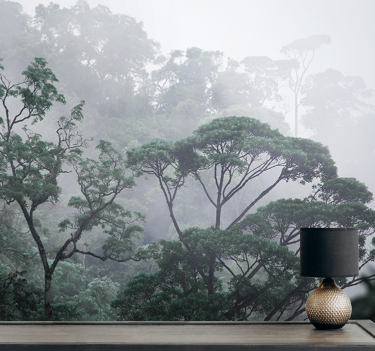 Lesní fototapeta tajemná lesní scenérie - TenStickers