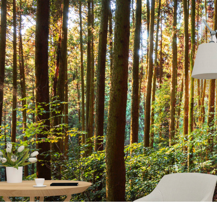 Lesní fototapeta vzkvétající zelený les - TenStickers