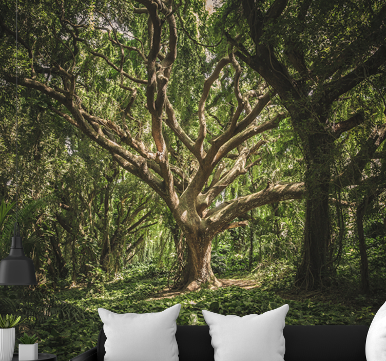 Lesní fototapeta vznešená koruna lesa - TenStickers