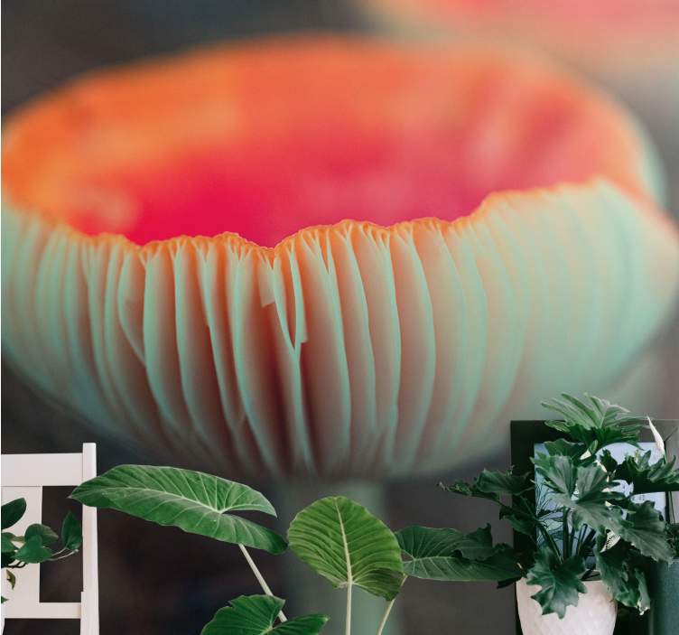 Maková fototapeta elegantní makový květ - TenStickers