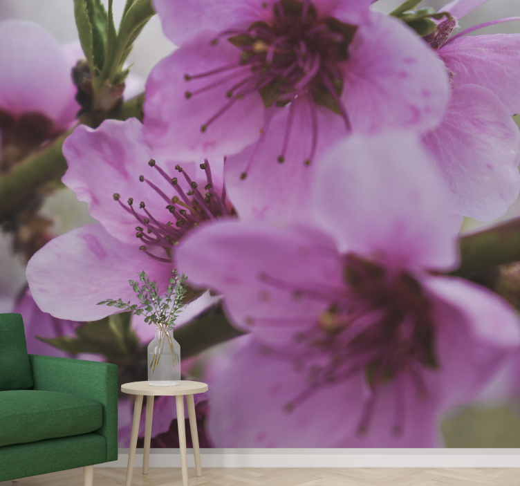 Maková fototapeta svící růžové květiny - TenStickers