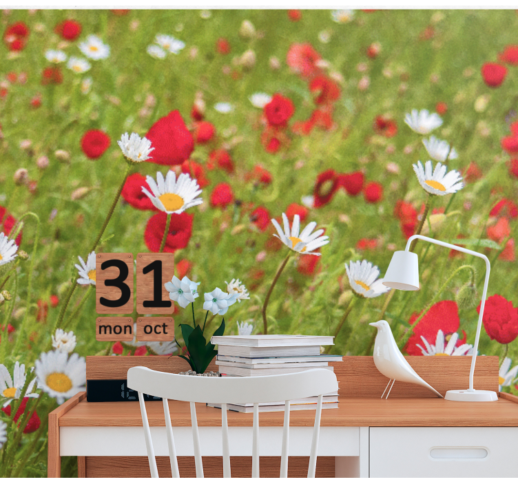 Fototapeta malé bílé květy máku - TenStickers