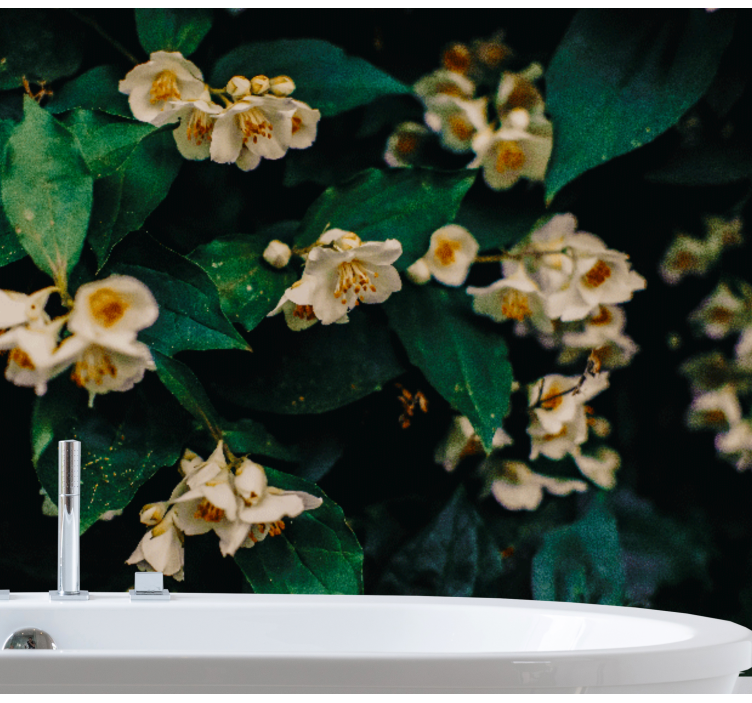 Jasmínové květiny fototapeta - TenStickers