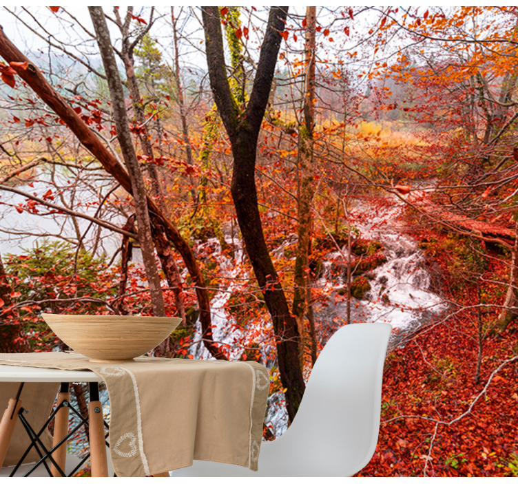 Podzimní lesní scéna Příroda fototapeta - TenStickers