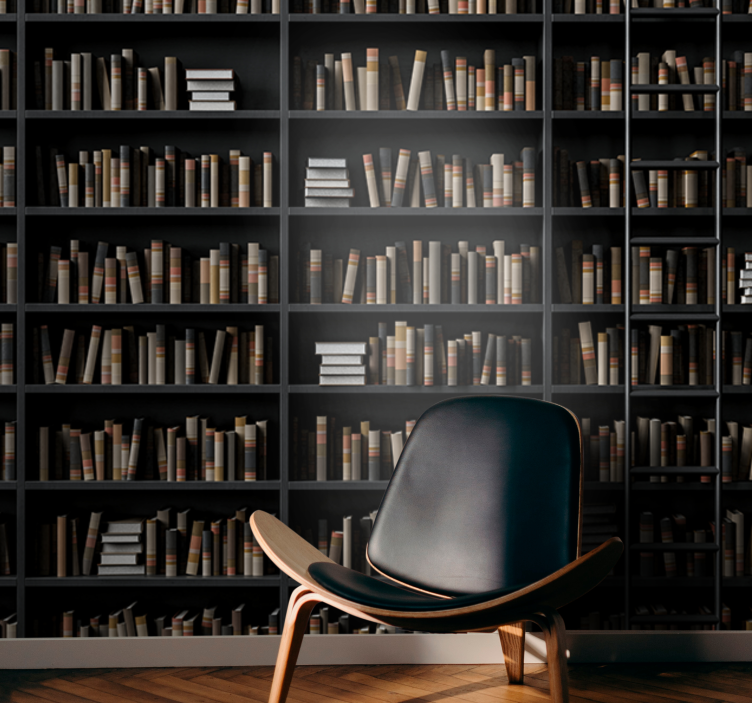 Police na knihy optický klam 3d fototapeta - TenStickers