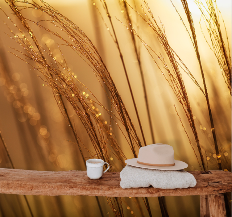 Příroda fototapeta jemná zlatá tráva - TenStickers