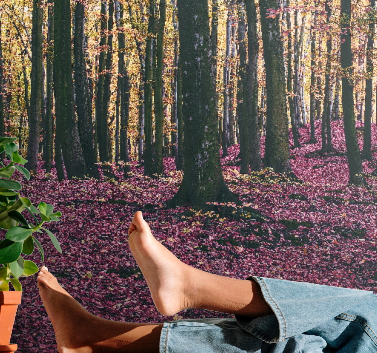 Příroda fototapeta klidná lesní scenérie - TenStickers