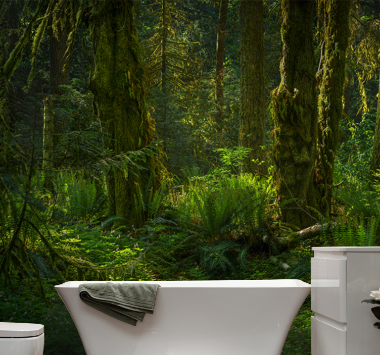 Příroda fototapeta klidný lesní úkryt - TenStickers