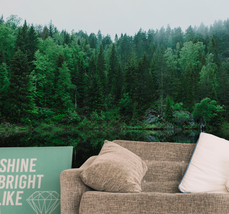 Příroda fototapeta klidný odraz lesa - TenStickers