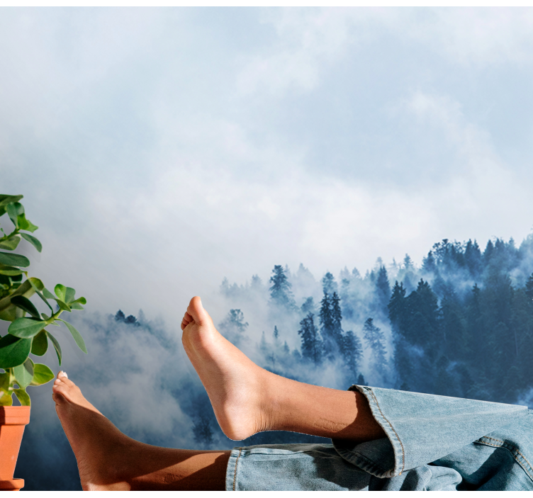 Příroda fototapeta lesní mlžná krajina - TenStickers