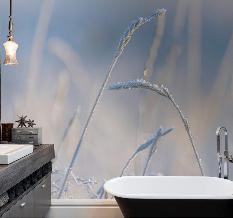 Příroda fototapeta mrazivé travní špičky - TenStickers