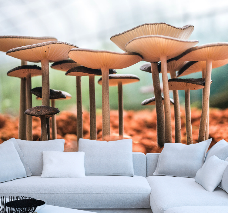 Scéna seskupení hub Fototapeta - TenStickers