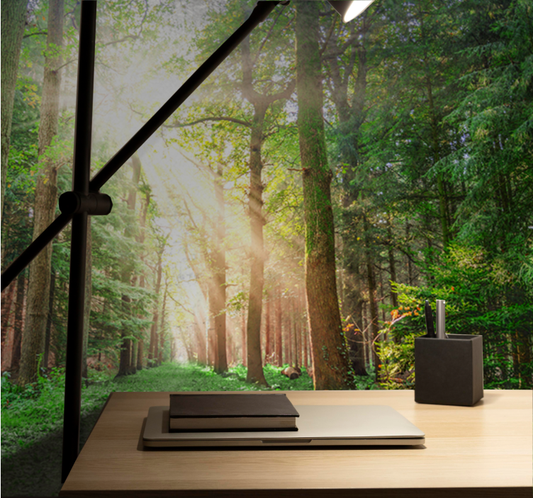 Fototapeta sunray stromy les - TenStickers