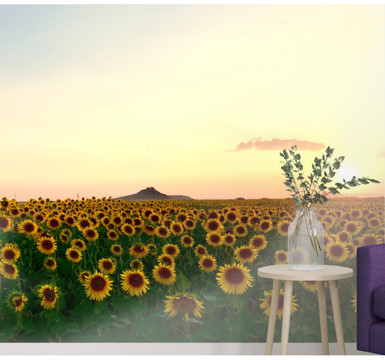 Fototapeta slunečnicové pole - TenStickers