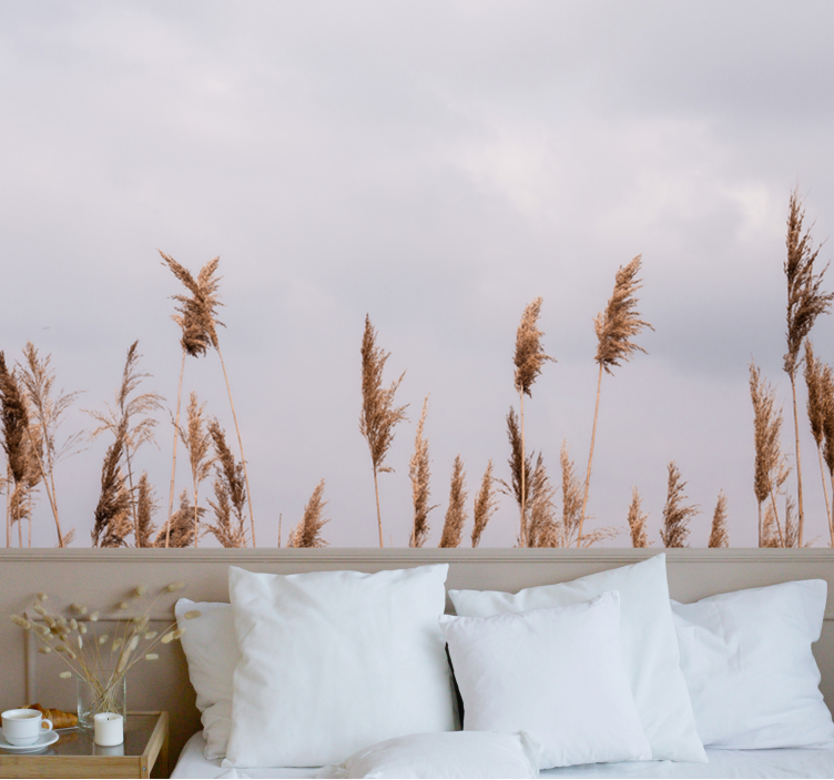 Strom fototapeta siluety vysoké trávy - TenStickers