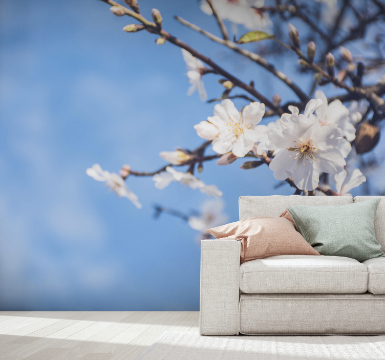 Fototapeta mandlový strom - TenStickers