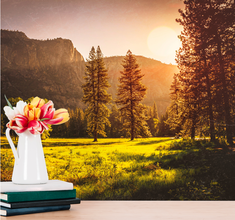 Fototapeta západ slunce za stromy les - TenStickers